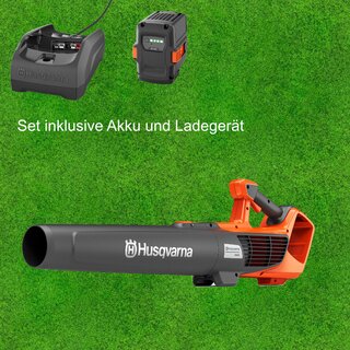Husqvarna Akku Laubbl�ser 122iB inkl. Akku B140 und Ladeger�t C80